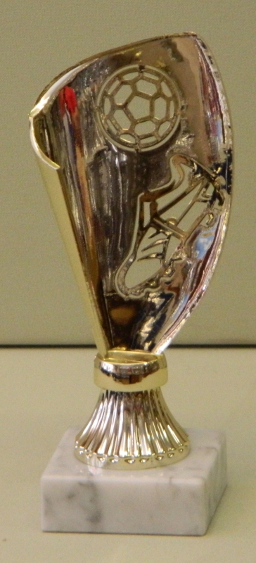 Sportpreis Fußball